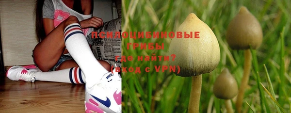 бутират Бородино